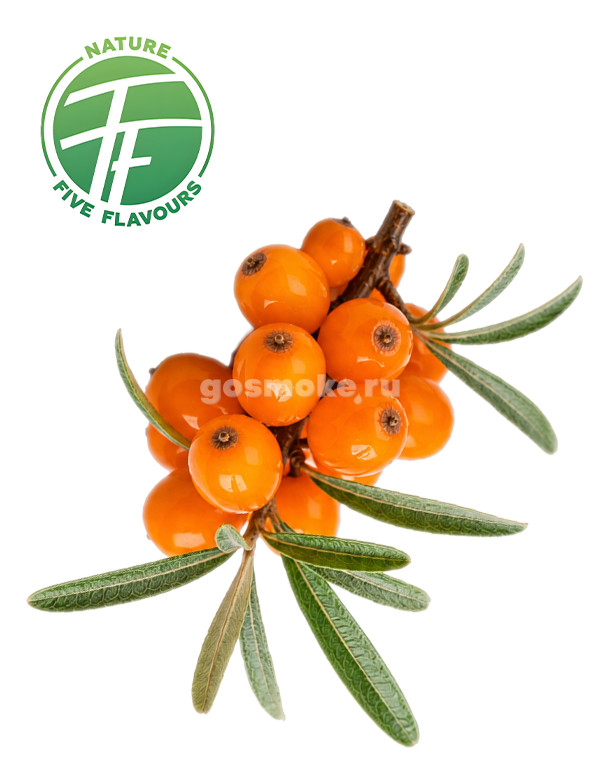 Five Flavours Облепиха (FF0046) Five Flavours Облепиха (FF0046)