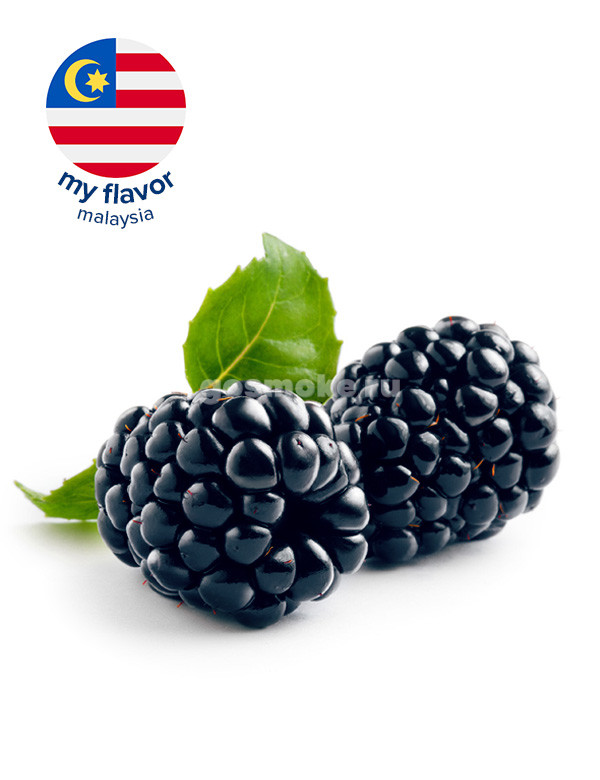 My Flavor Malaysia Fresh Blackberry