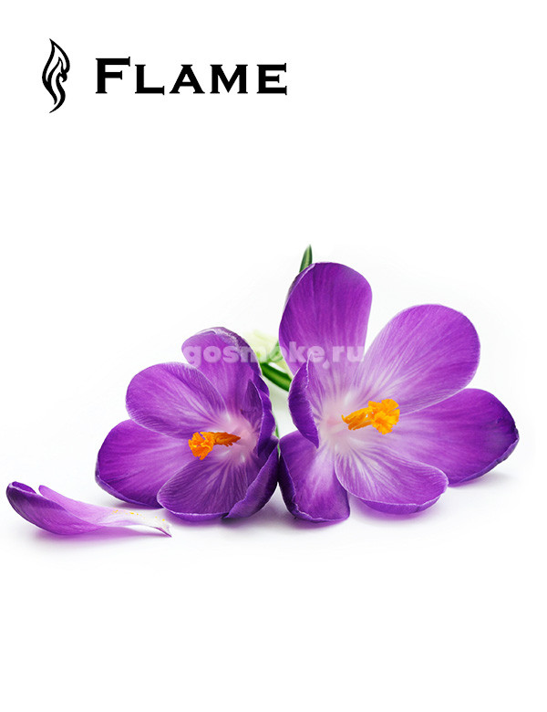 Flame Flavour Фиалка Flame Flavour Фиалка