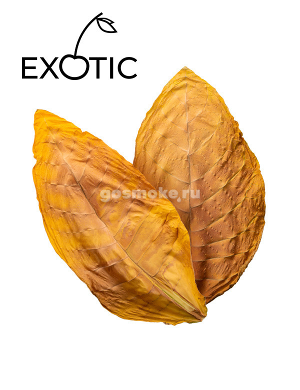 Exotic USA Sigar Exotic USA Sigar
