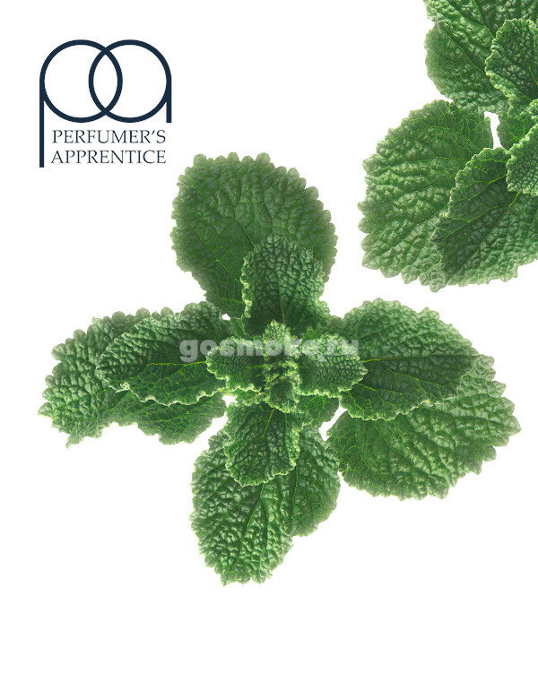 TPA Horehound TPA Horehound