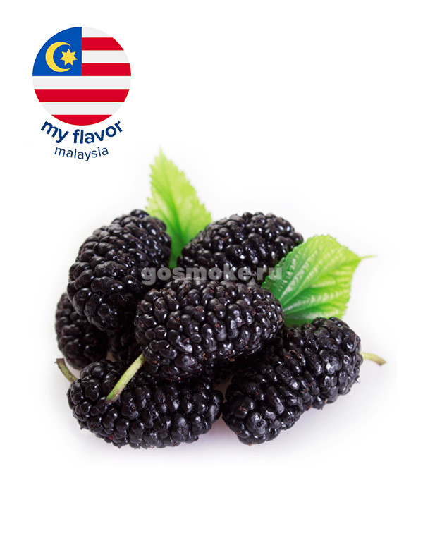 My Flavor Malaysia Mulberry