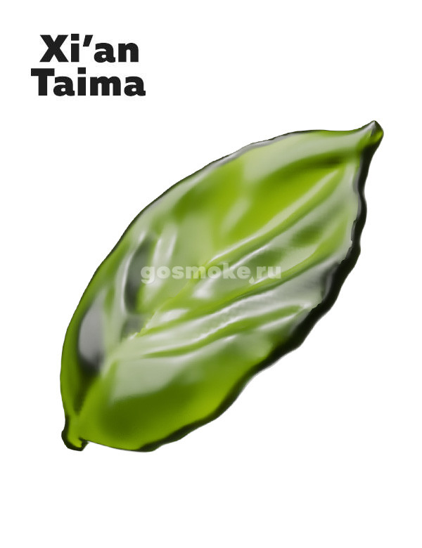 Xian Taima USA mix Xian Taima USA mix