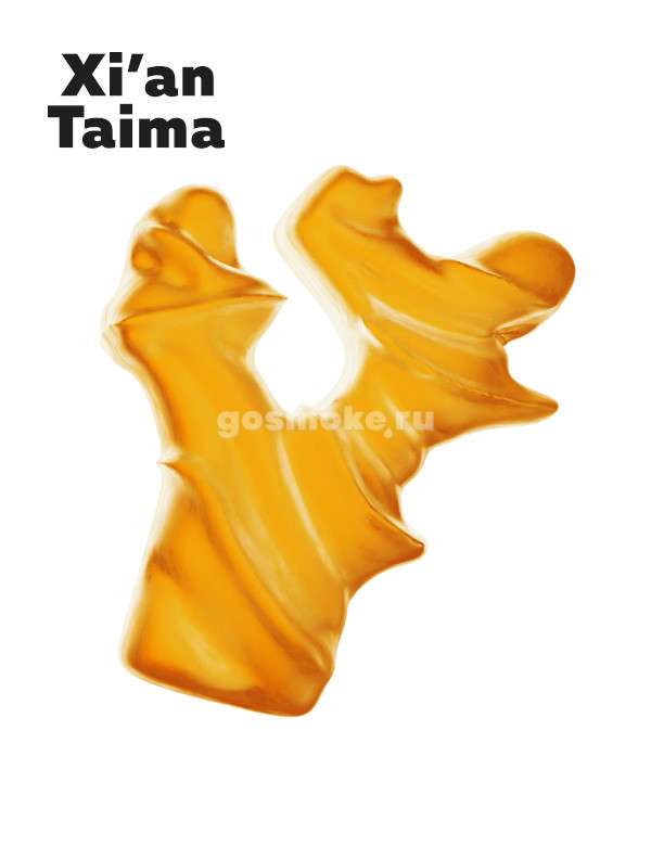 Xian Taima Ginger