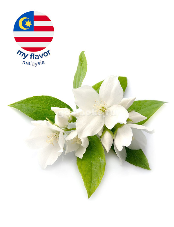 My Flavor Malaysia Jasmine