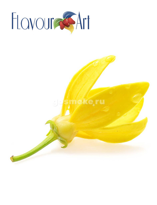 FlavourArt Ylang Ylang FlavourArt Ylang Ylang