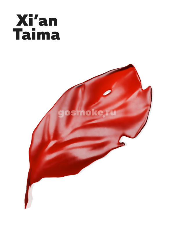 Xian Taima State Express/555 Xian Taima State Express/555