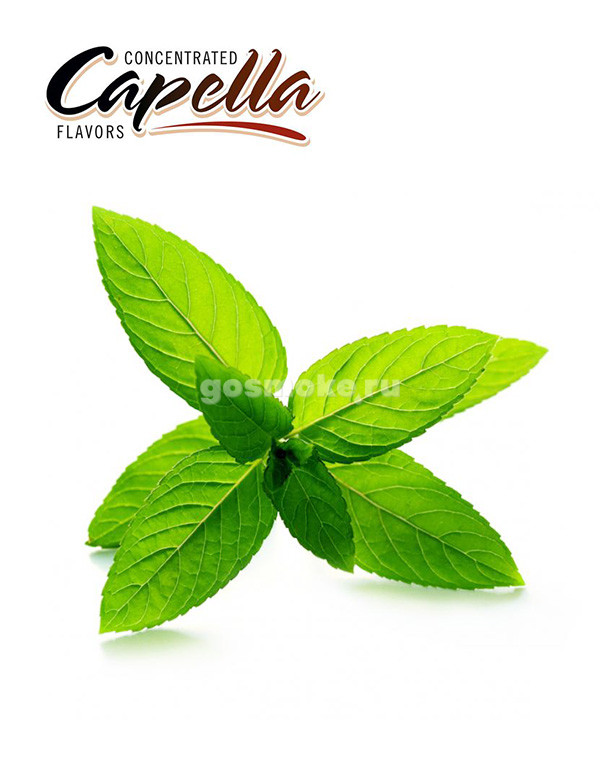 Capella Peppermint Capella Peppermint