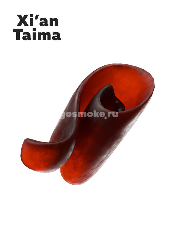 Xian Taima Tuscan Xian Taima Tuscan