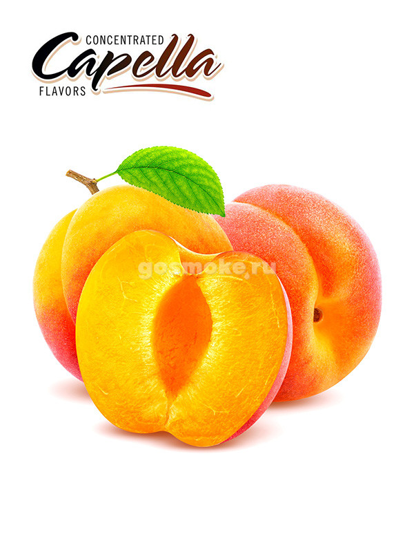 Capella Apricot Capella Apricot