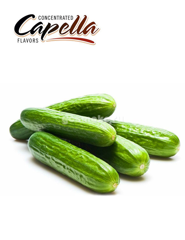Capella Cucumber Capella Cucumber