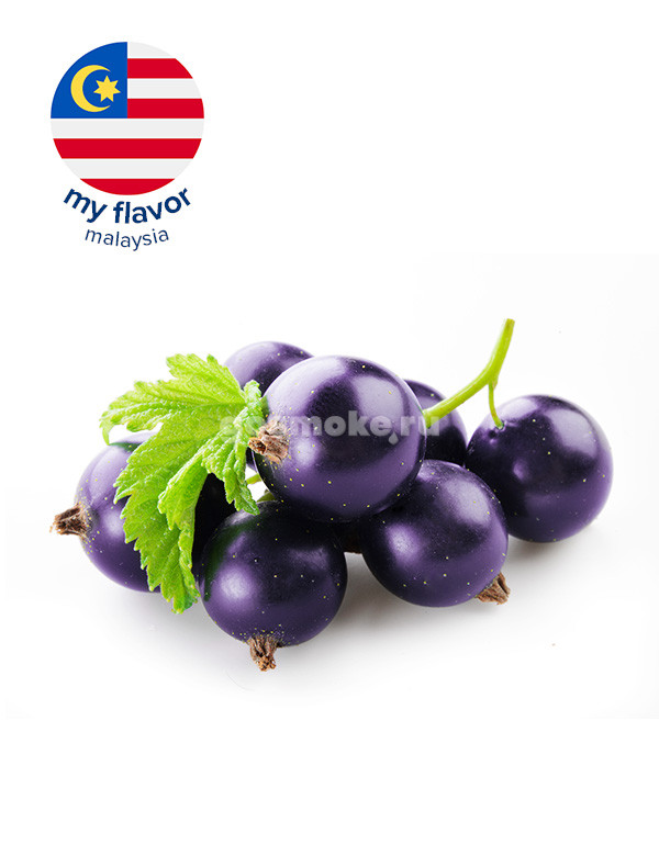 My Flavor Malaysia Blackcurrant