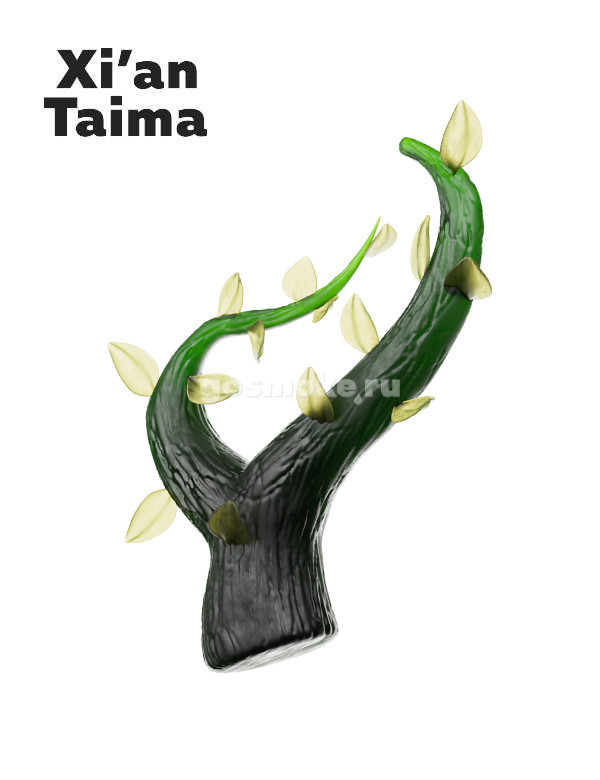 Xian Taima Carolina Xian Taima Carolina