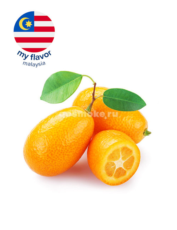 My Flavor Malaysia Kumquat My Flavor Malaysia Kumquat