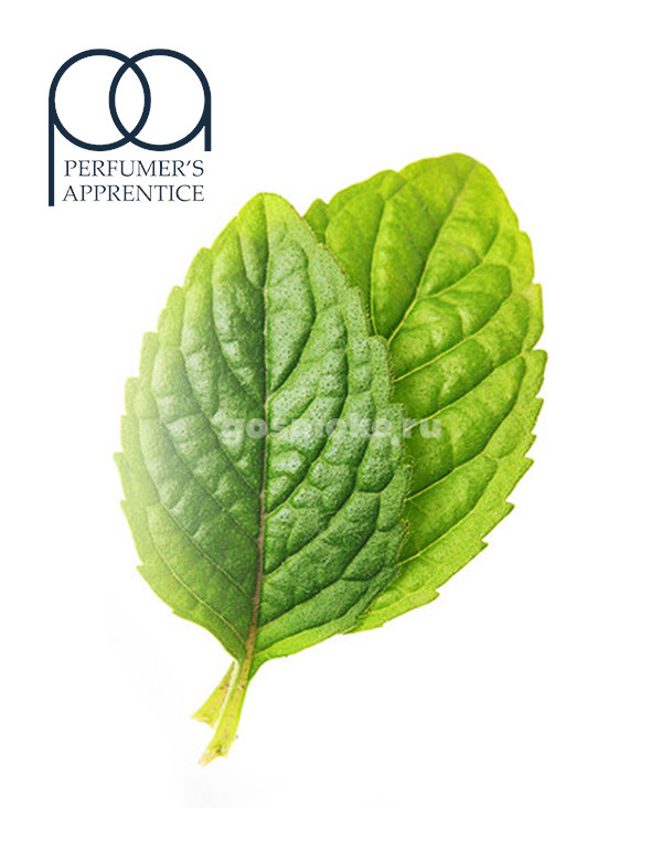 TPA Spearmint TPA Spearmint