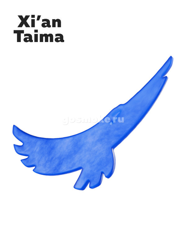 Xian Taima Winston
