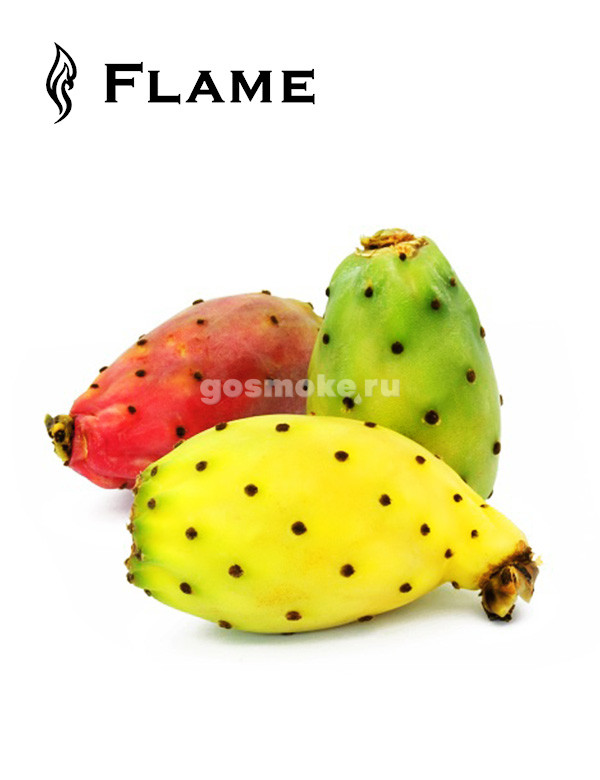 Flame Flavour Кактус Flame Flavour Кактус