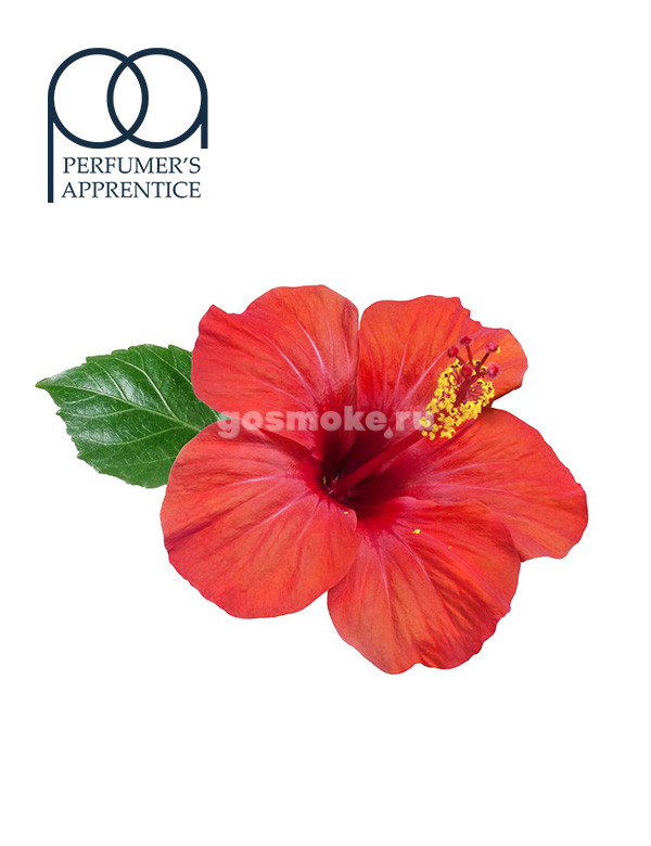 TPA Hibiscus TPA Hibiscus