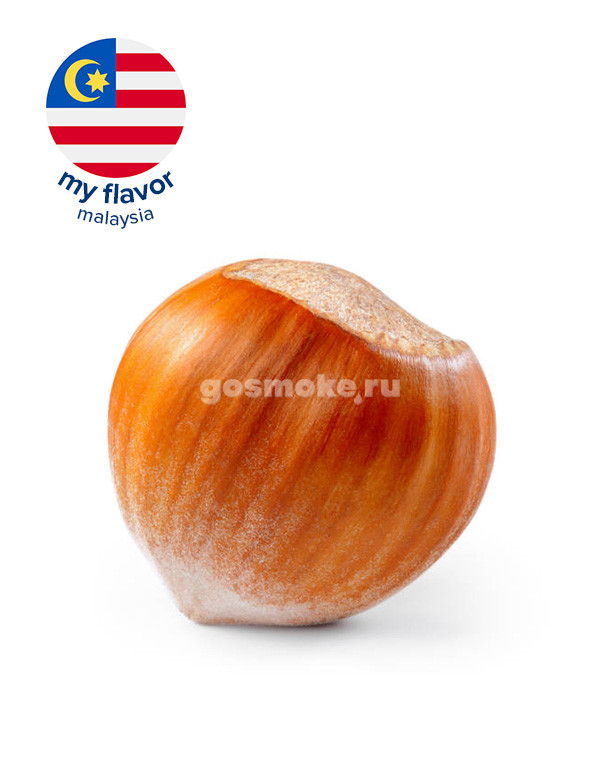 My Flavor Malaysia Filbert My Flavor Malaysia Filbert