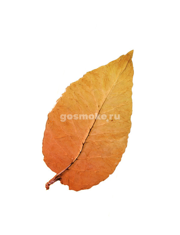 TRZ Flavor Sweet Tobacco Leaf