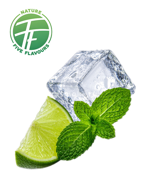 Five Flavours Мохито (FF0044)