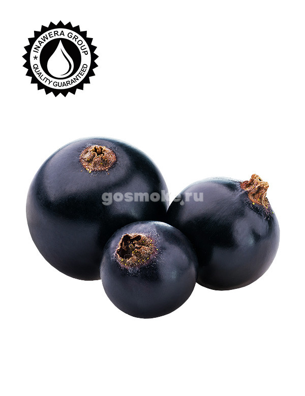 Inawera Blackcurrant Inawera Blackcurrant