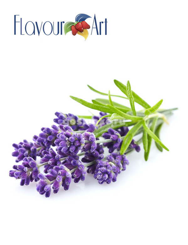 FlavourArt Lavender