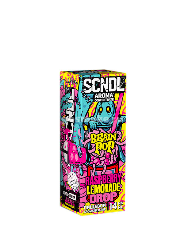 SCNDL Brain Pop SCNDL Brain Pop