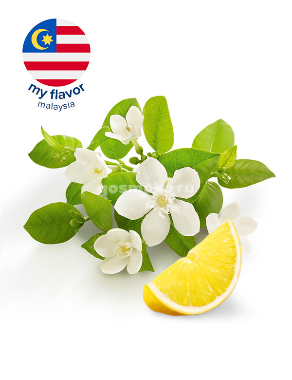 My Flavor Malaysia Lemon Bergamot