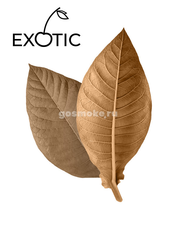 Exotic RY4 Exotic RY4