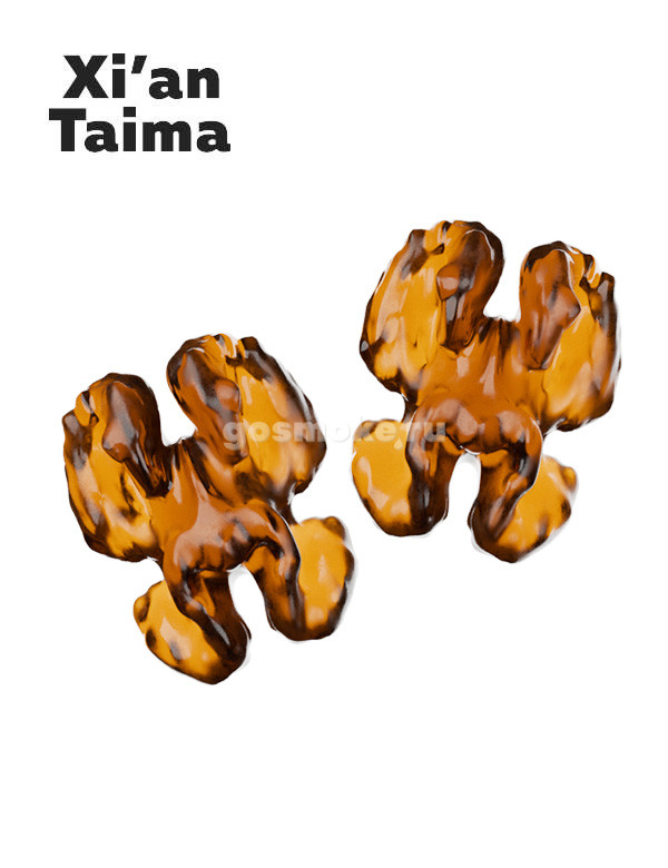 Xian Taima Camel