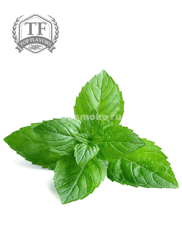 Top Flavors Мята №3 Top Flavors Мята №3