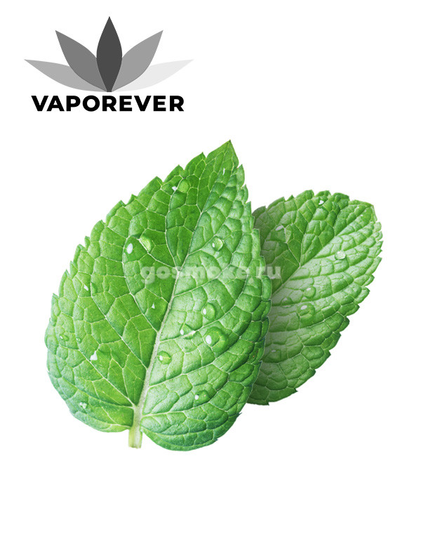 Vaporever Mint Vaporever Mint