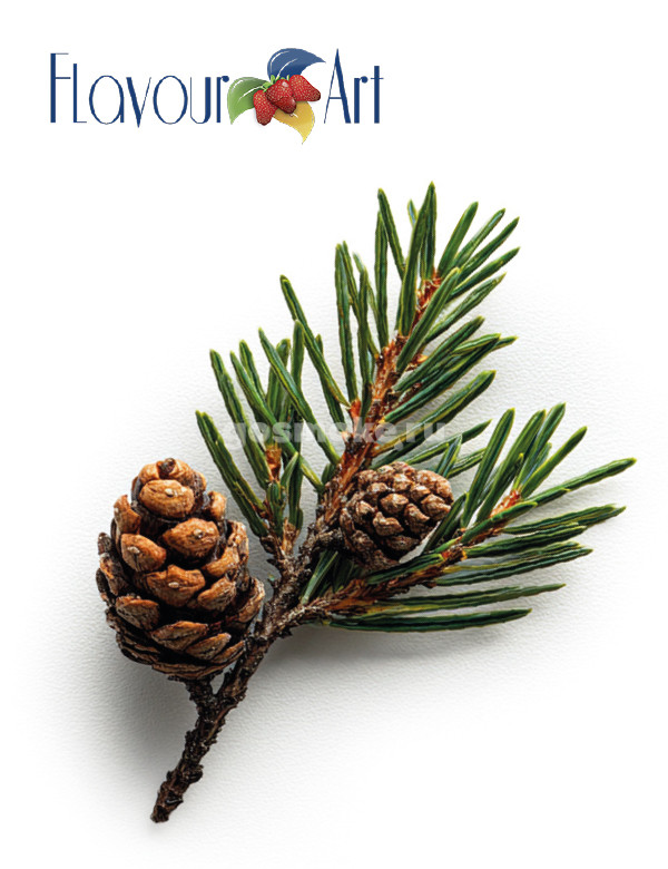 FlavourArt Pinus Sibirica FlavourArt Pinus Sibirica