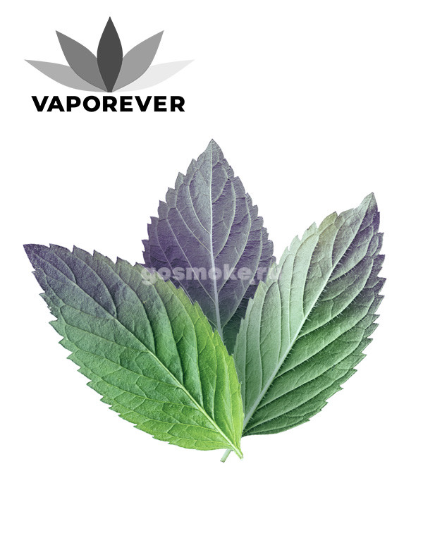 Vaporever Peppermint Vaporever Peppermint