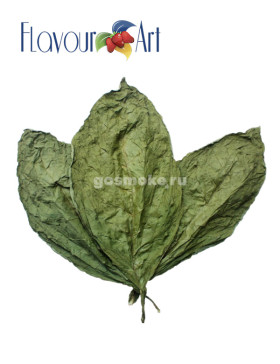 FlavourArt 7 Leaves