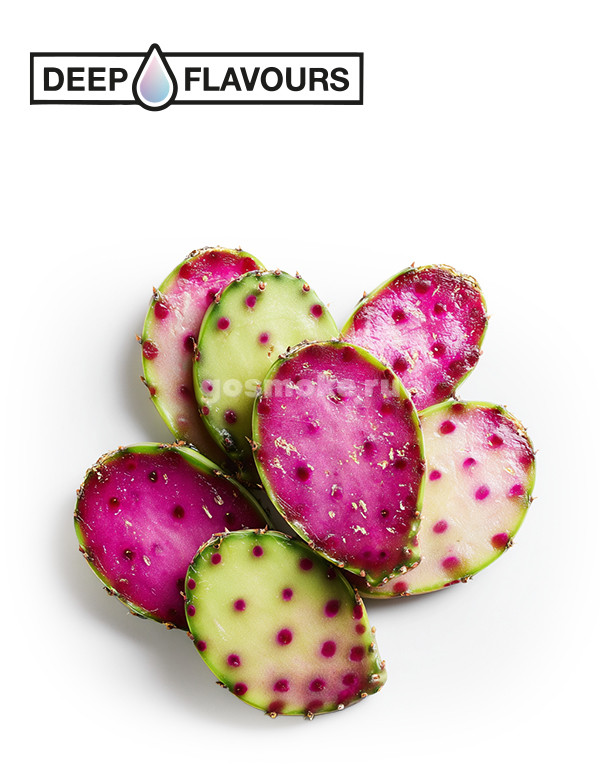 Deep Flavours Cactus Deep Flavours Cactus
