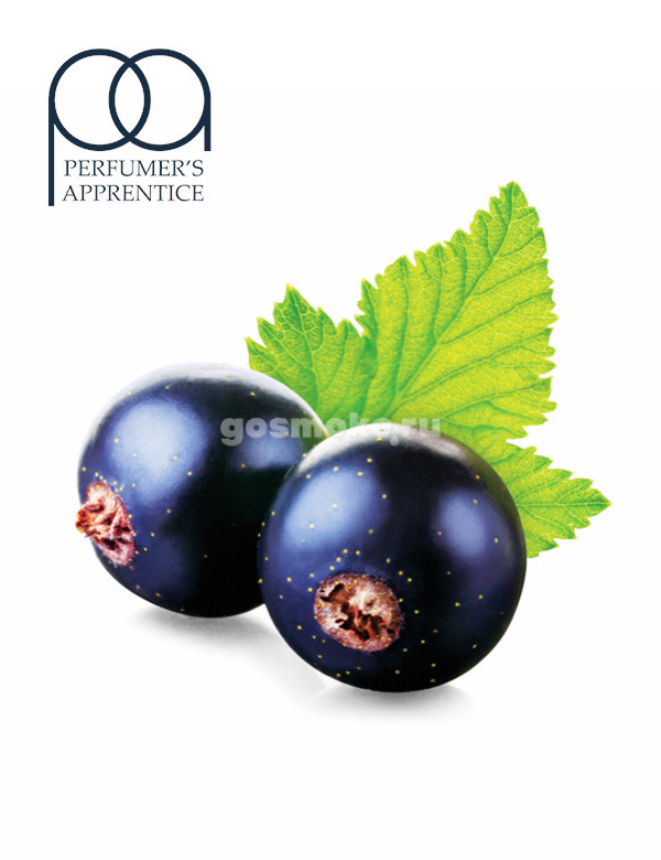 TPA Black Currant TPA Black Currant